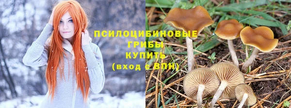 прущие крисы Баксан
