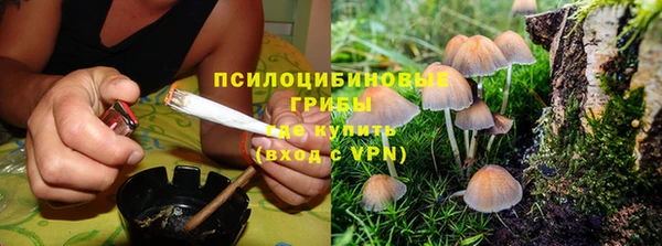 гидра Балабаново