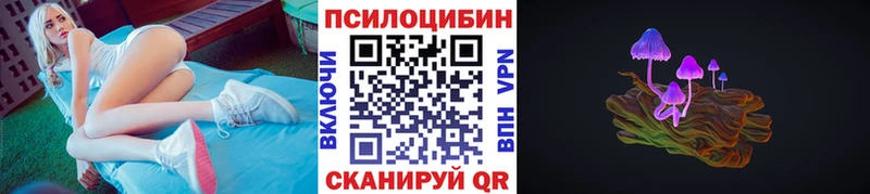 Галлюциногенные грибы Psilocybe  shop Telegram  Электросталь 